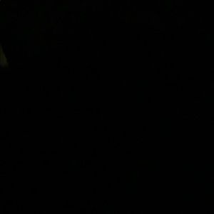 Meet your Posher, Rebaceb